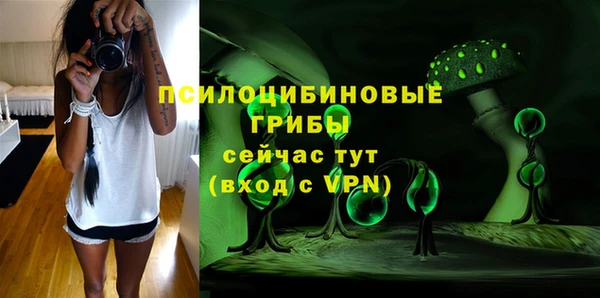 дмт Алзамай