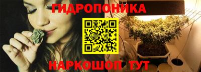 индика Ачхой-Мартан