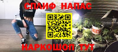 индика Ачхой-Мартан