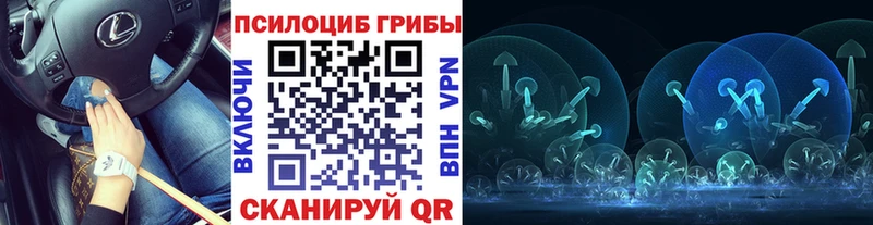 hydra сайт  Анжеро-Судженск  Псилоцибиновые грибы мицелий 