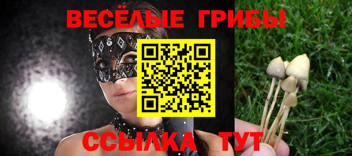 Псилоцибиновые грибы MAGIC MUSHROOMS Анжеро-Судженск