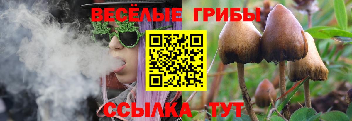 Анжеро-Судженск  Псилоцибиновые грибы прущие грибы  Галлюциногенные грибы MAGIC MUSHROOMS  Вход с VPN 
